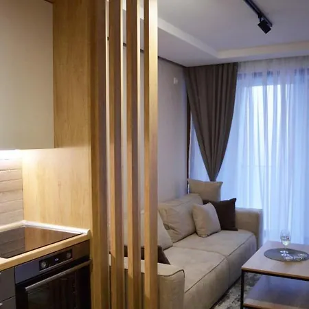 Apartmán Borovi Snovi *