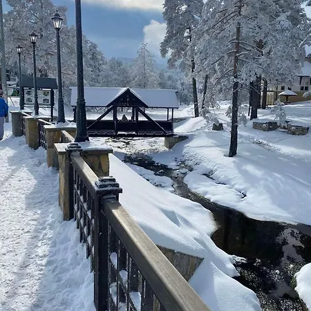 Apartmán Borovi Snovi *