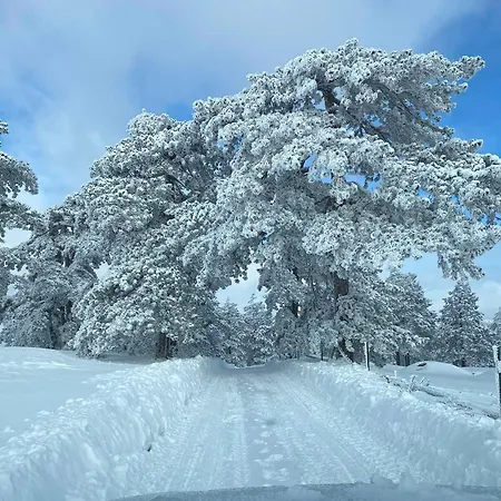 Apartmán Borovi Snovi