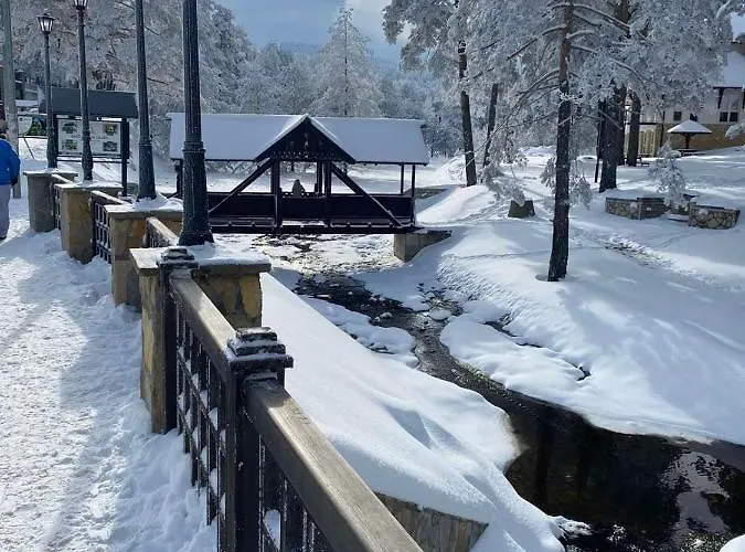 Apartman Borovi Snovi *