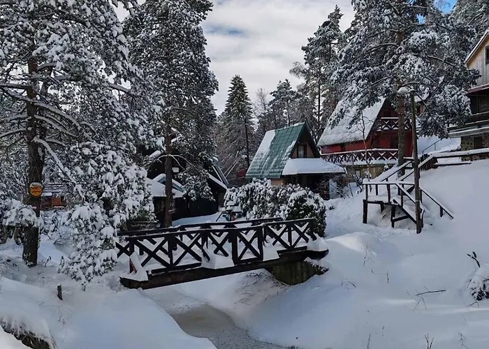 Apartman Borovi Snovi *